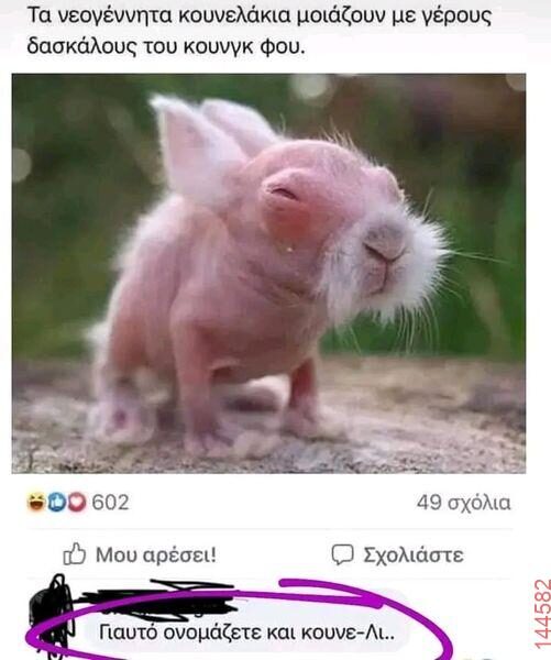 Αστεία εικόνα