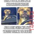 Αστεία εικόνα