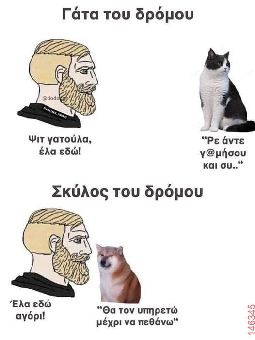 Αστεία εικόνα