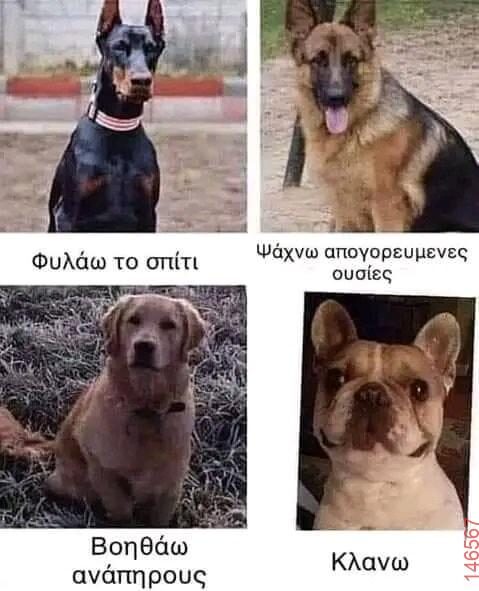 Αστεία εικόνα