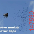 Αστεία εικόνα