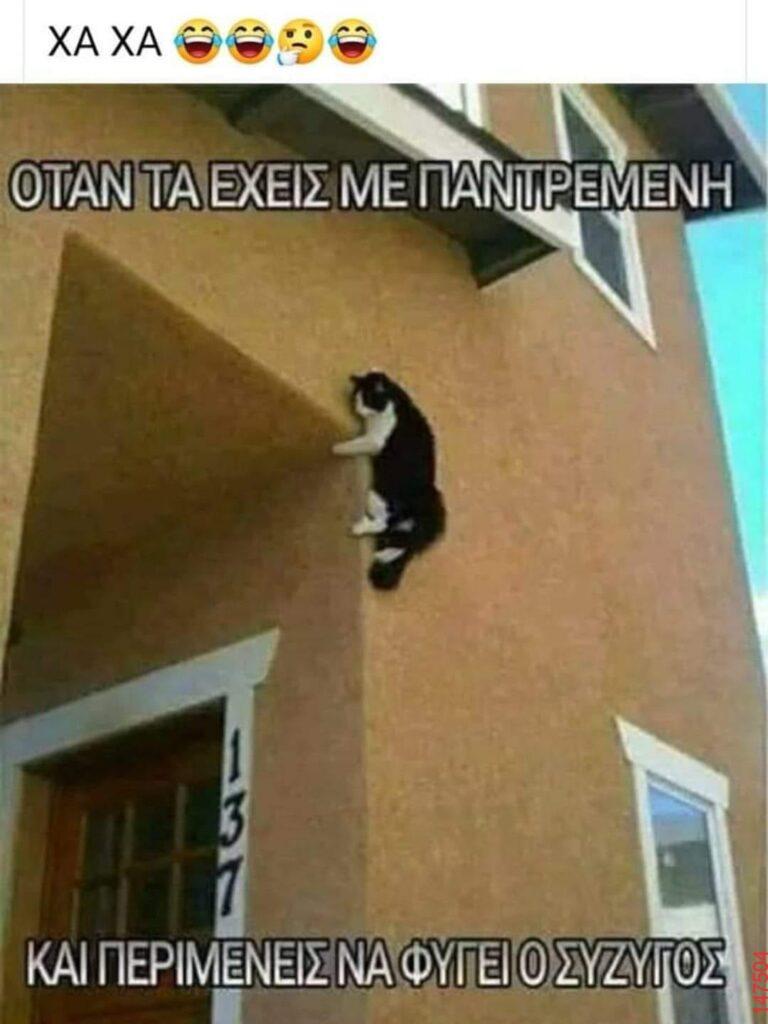 Αστεία εικόνα