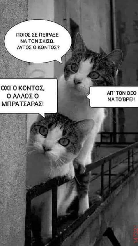 Αστεία εικόνα