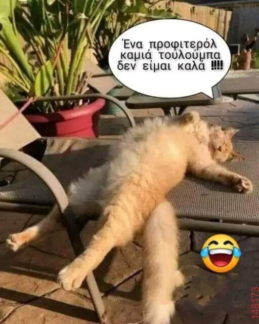 Αστεία εικόνα