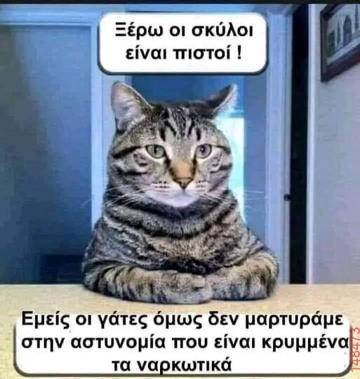 Αστεία εικόνα