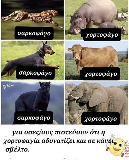 Αστεία εικόνα