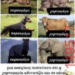 Αστεία εικόνα