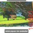 Αστεία εικόνα