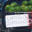 Αστεία εικόνα