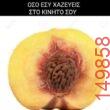 Αστεία εικόνα