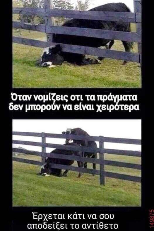 Αστεία εικόνα