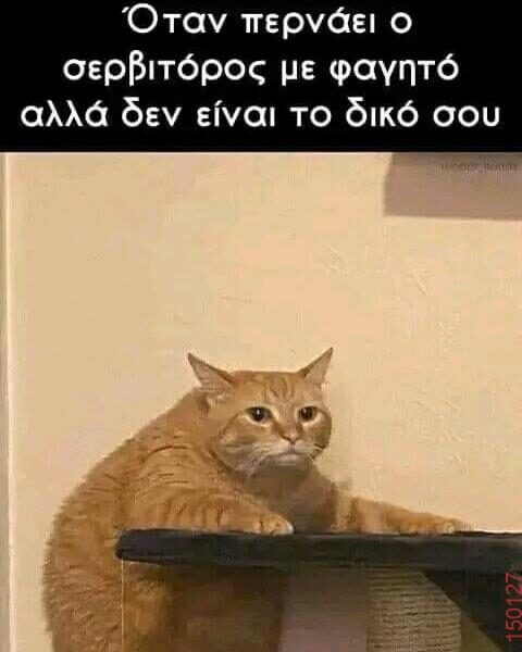 Αστεία εικόνα