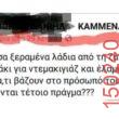 Αστεία εικόνα