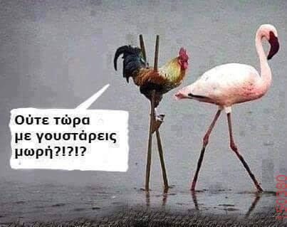 Αστεία εικόνα