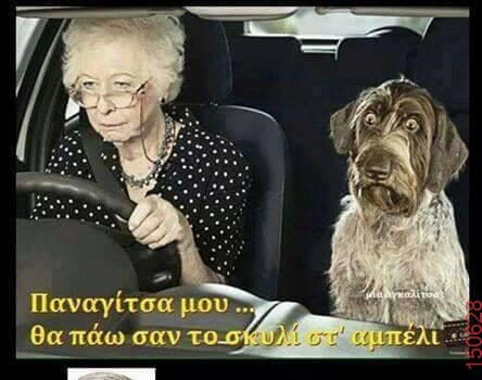 Αστεία εικόνα