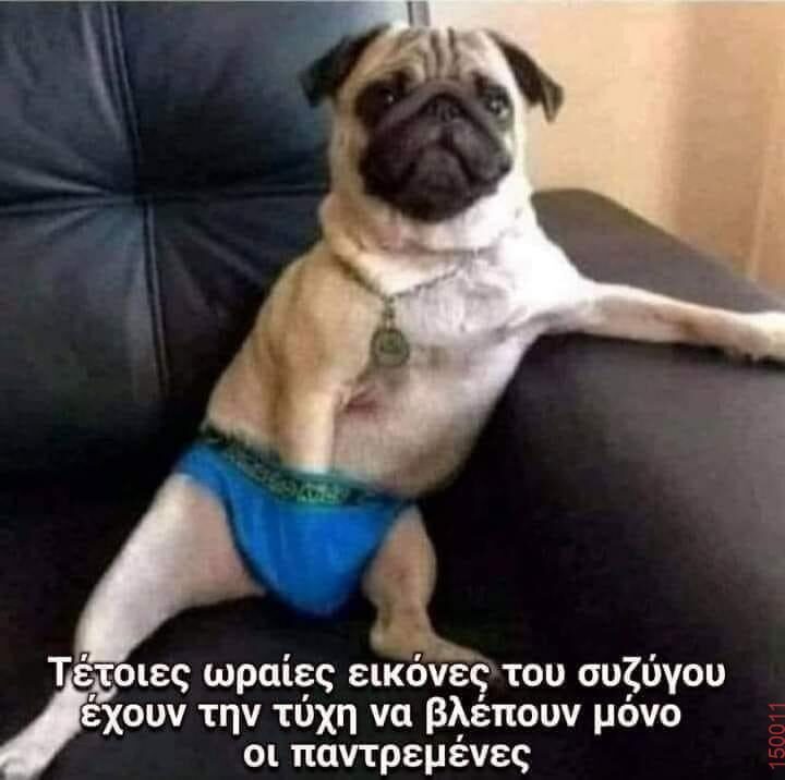 Αστεία εικόνα