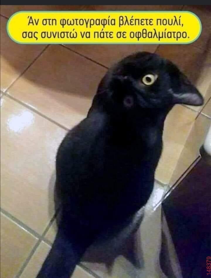 Αστεία εικόνα