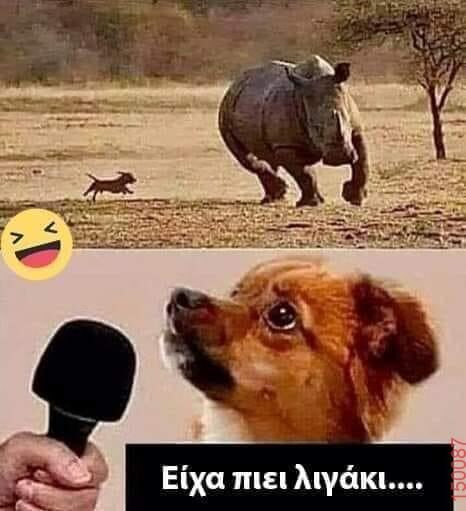 Αστεία εικόνα