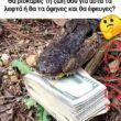 Αστεία εικόνα