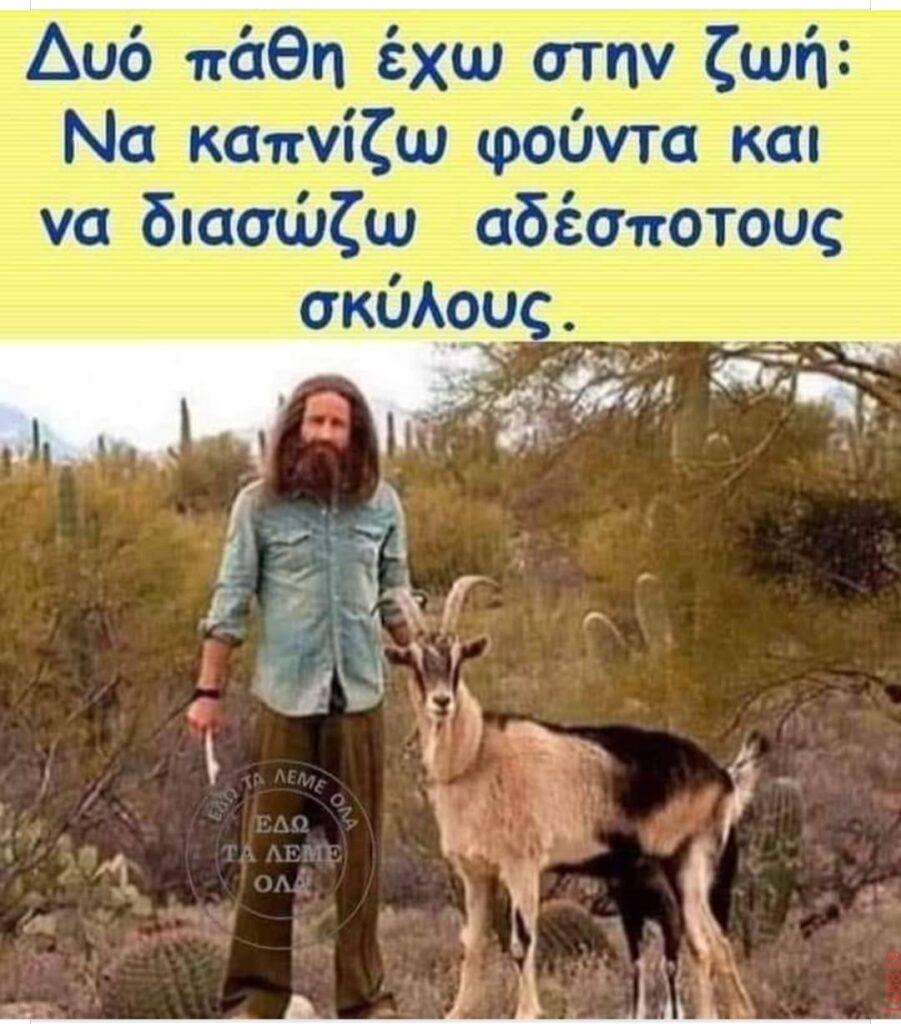 Αστεία εικόνα