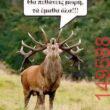 Αστεία εικόνα