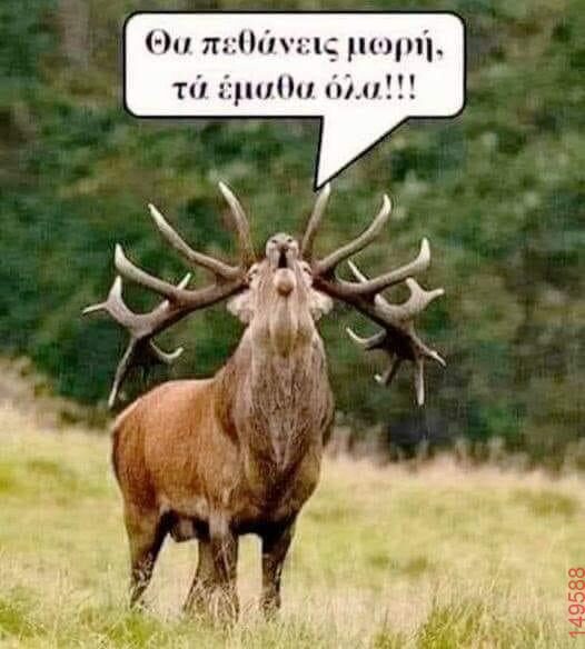 Αστεία εικόνα