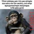 Αστεία εικόνα