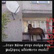 Αστεία εικόνα