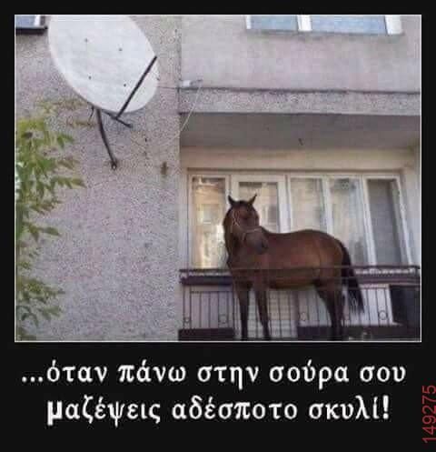 Αστεία εικόνα