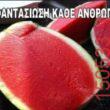 Αστεία εικόνα