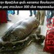 Αστεία εικόνα