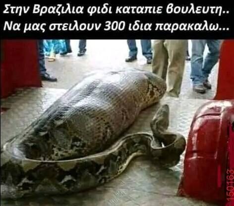Αστεία εικόνα
