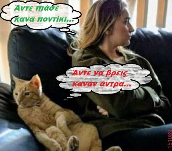 Αστεία εικόνα