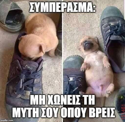 Αστεία εικόνα