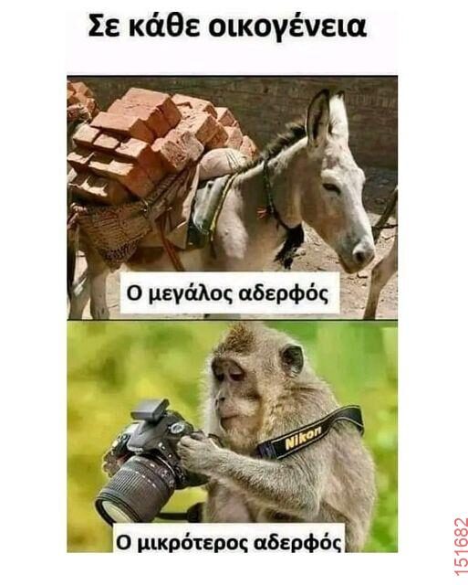 Αστεία εικόνα