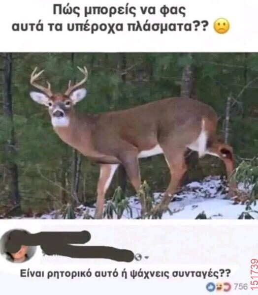 Αστεία εικόνα