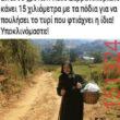 Αστεία εικόνα