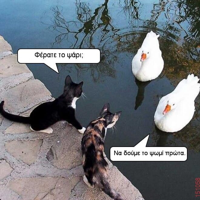 Αστεία εικόνα