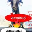 Αστεία εικόνα