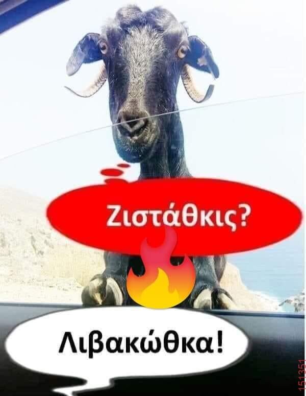 Αστεία εικόνα