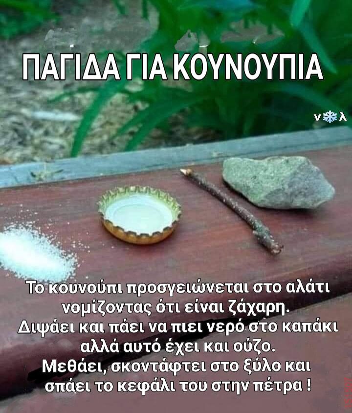 Αστεία εικόνα