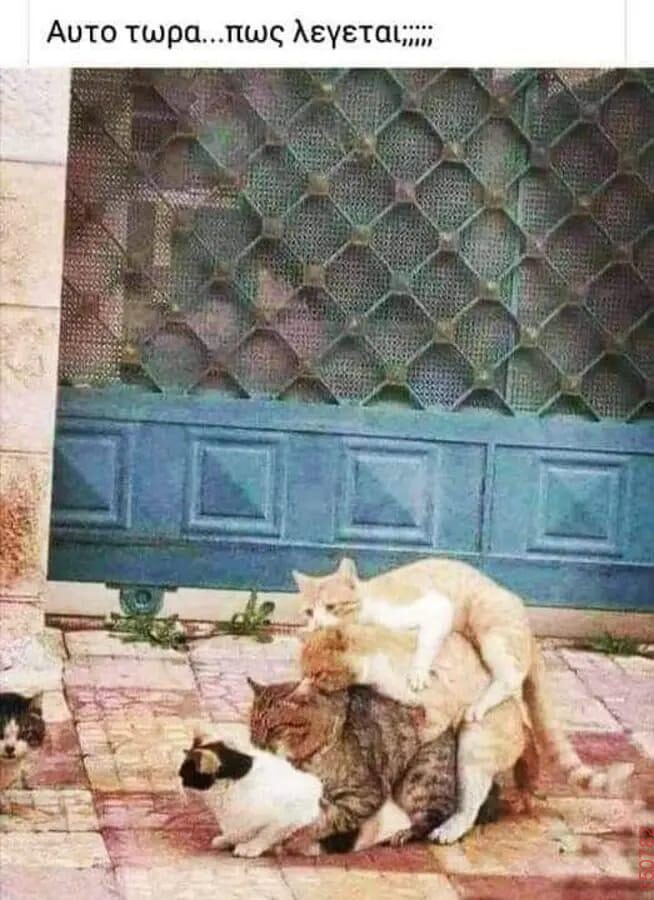 Αστεία εικόνα