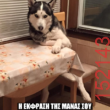 Αστεία εικόνα