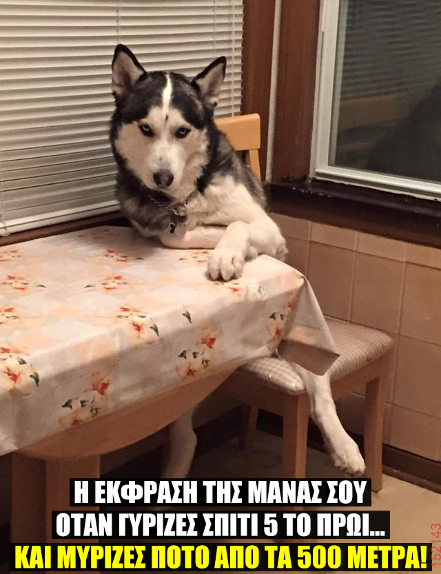 Αστεία εικόνα