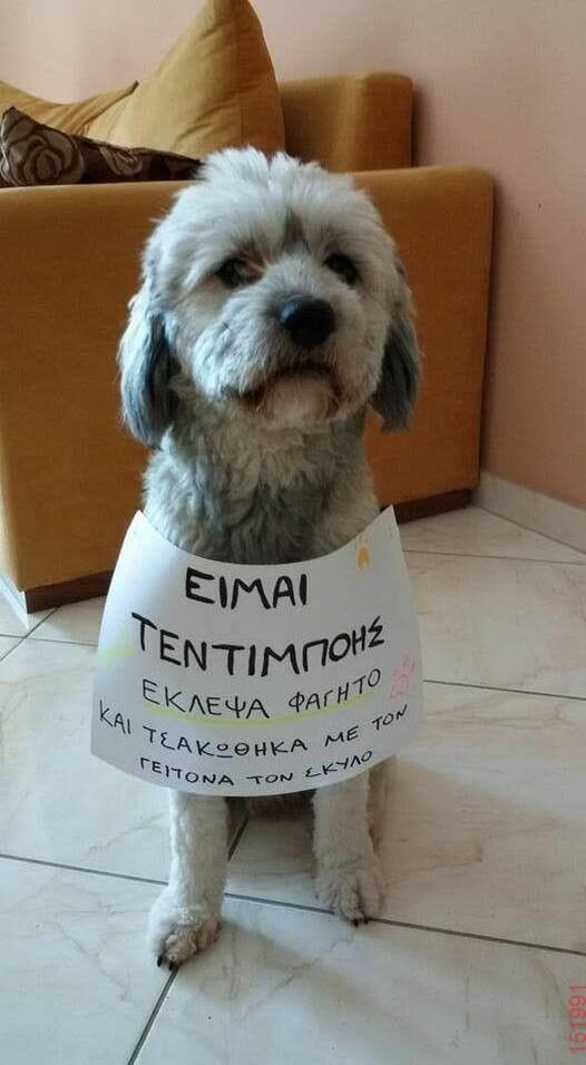 Αστεία εικόνα