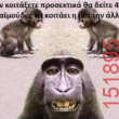 Αστεία εικόνα