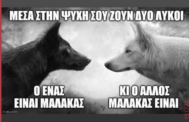 Αστεία εικόνα