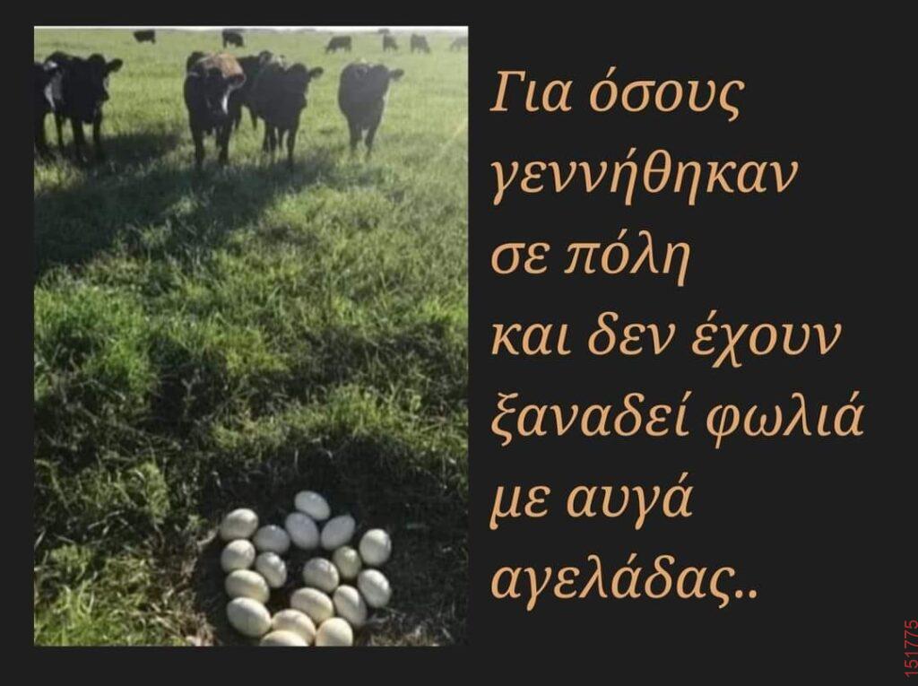 Αστεία εικόνα