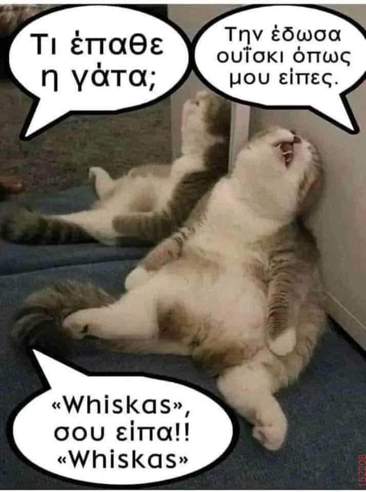 Αστεία εικόνα