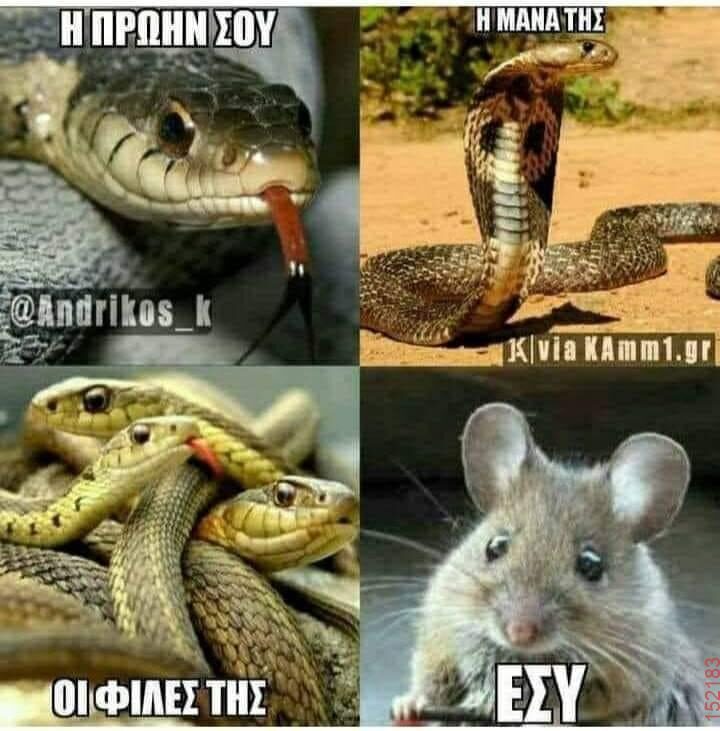 Αστεία εικόνα